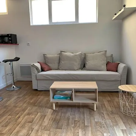 Spacieux Studio Avec Patio - Proche Centre דירה *